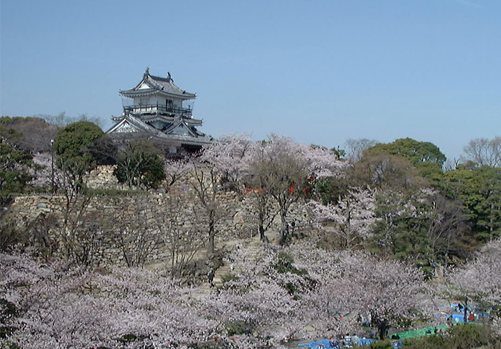 Hamamatsu Castle Park