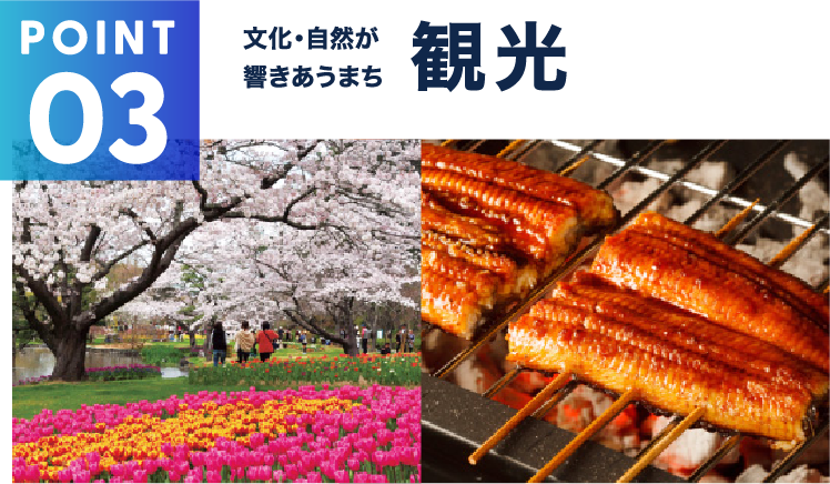 文化・自然が響きあうまち観光